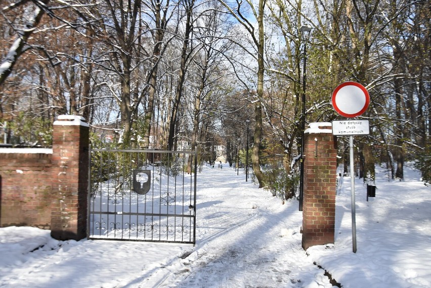 Park Kościuszki w wałbrzyskim Sobięcinie w śnieżnej szacie