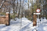 Park im. Tadeusza Kościuszki w wałbrzyskim Sobięcinie w śnieżnej szacie. Zdjęcia!