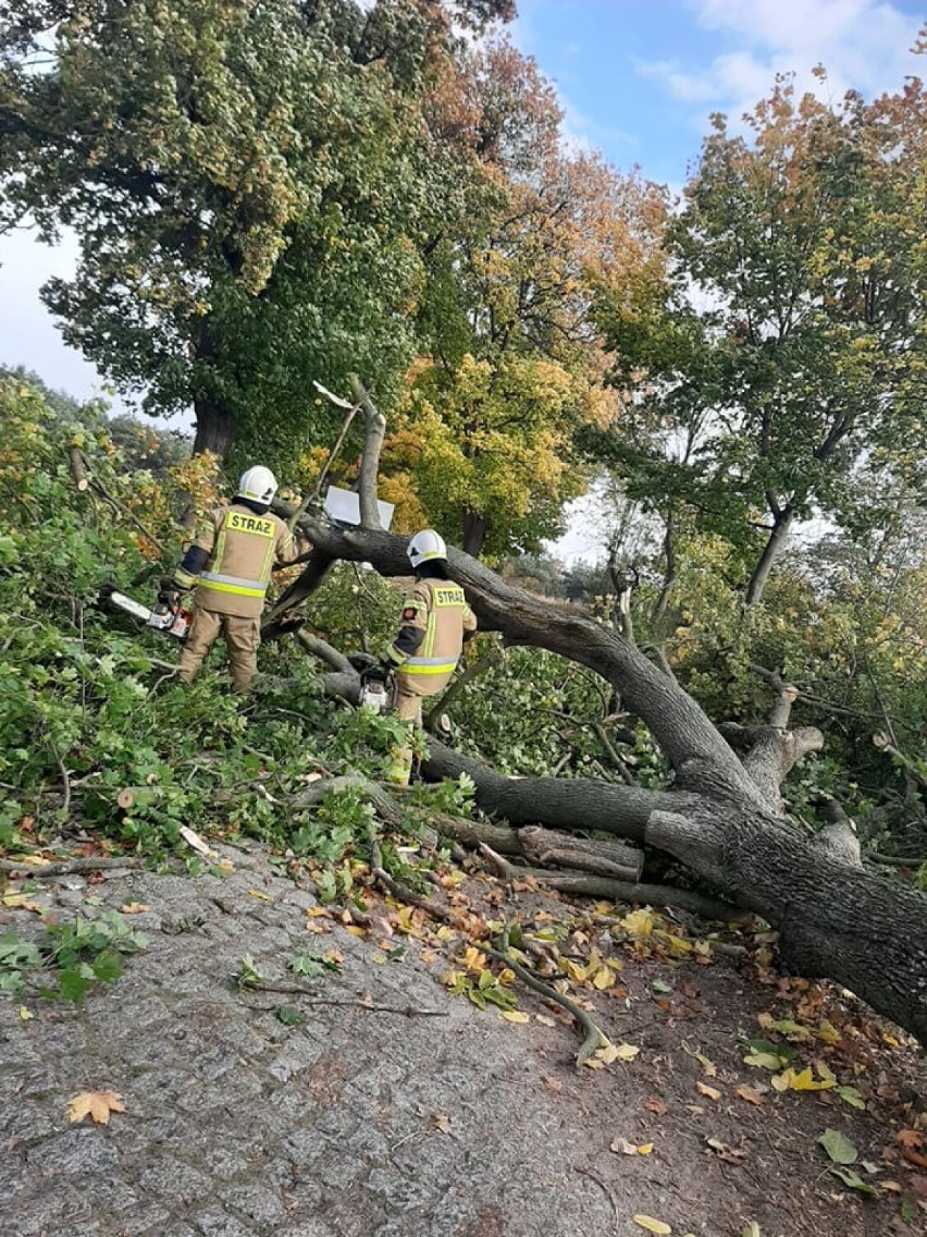 Nawałnica nad Wągrowcem i powiatem wągrowieckim. Kilkadziesiąt wyjazdów straży. Zerwana część dachu. Wiele domów bez prądu 