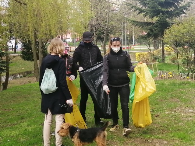 Pomiędzy blokami przy ulicy Koseły ze swoją grupą sprzątała  Katarzyna Knap-Sawicka, z prawej kierownik referatu Kultury Promocji Sportu i Turystyki