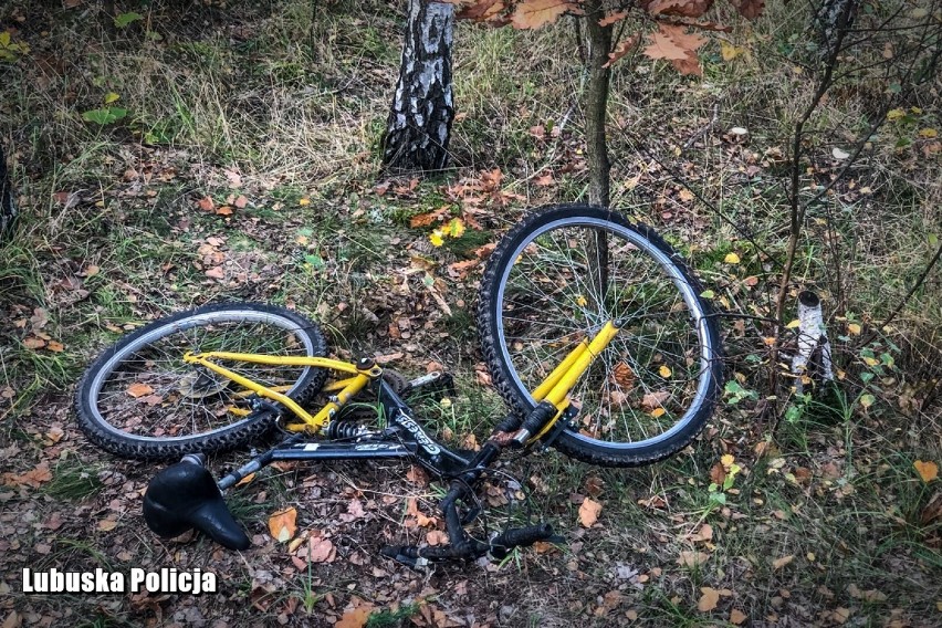 Mieszkaniec powiatu grodziskiego potrącił grzybiarza. Zwłoki przez kilka dni leżały w lesie! [ZDJĘCIA, WIDEO]