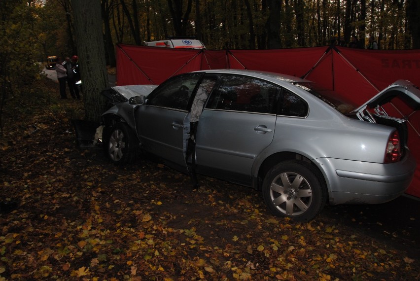 Wypadek w Prabutach. 19-latek uderzył w drzewo
