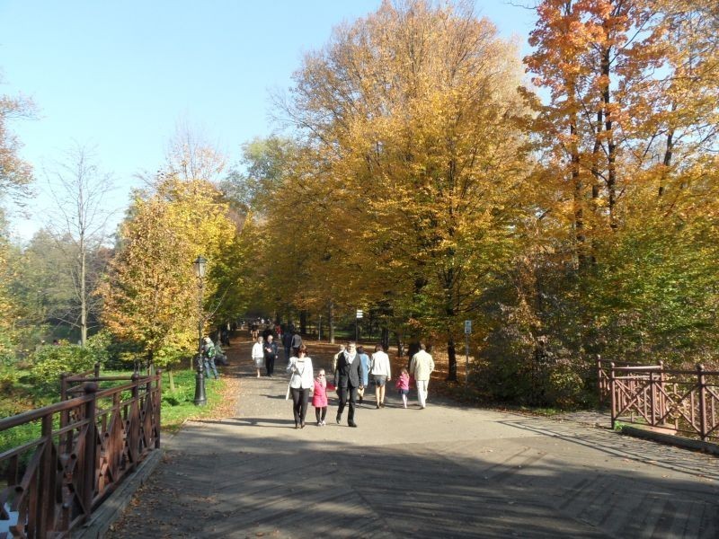 Park w Pszczynie jesienią wygląda wyjątkowo. Zobaczcie sami