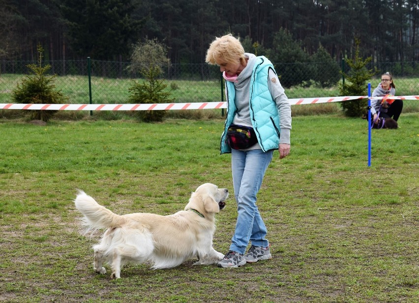  Brzeźno Wielkie. Szkoła odpowiedzialna społecznie. Pierwsze zawody obedience w Brzeźnie Wielkim i pokaz psich sztuczek