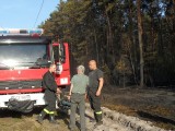 Olsztyn: Gmina wyznaczyła nagrodę 10 tysięcy złotych za wskazania podpalacza [ZDJĘCIA]