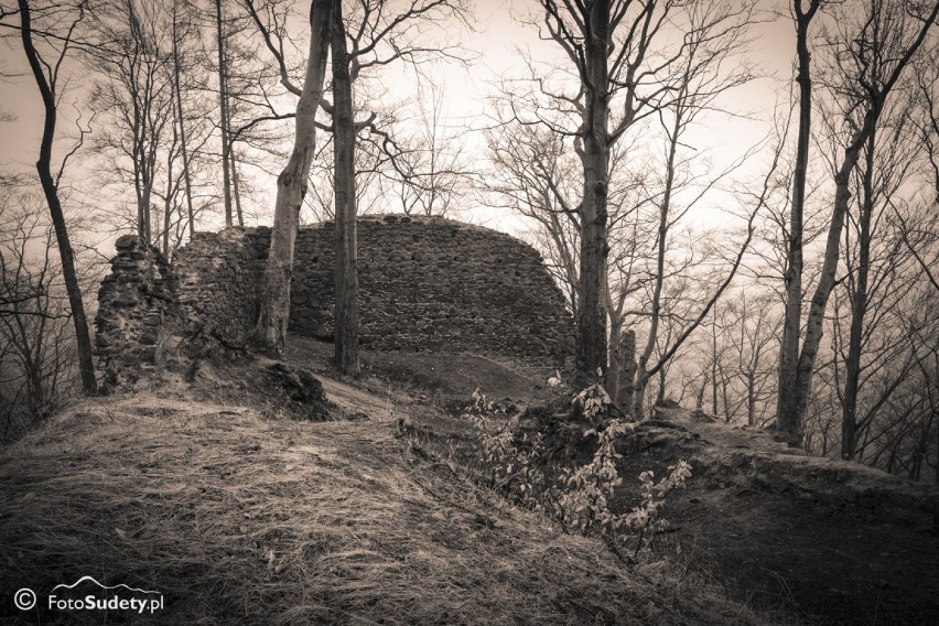 Ruiny zamku Nowy Dwór. Galeria zdjęć
