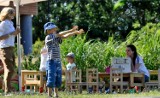 Rodzinny piknik ekologiczny w Gdańsku