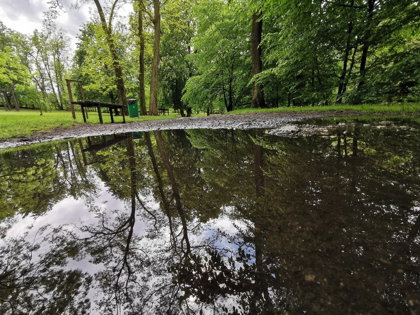 Park w Kościelcu zmieni swoje oblicze. Prace ruszą jeszcze w tym roku [ZDJĘCIA]