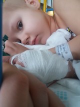 3-letnia Oliwka z Czepielowic przeszła już operację usunięcia nerki. Teraz dziewczynkę czeka dalsze leczenie 