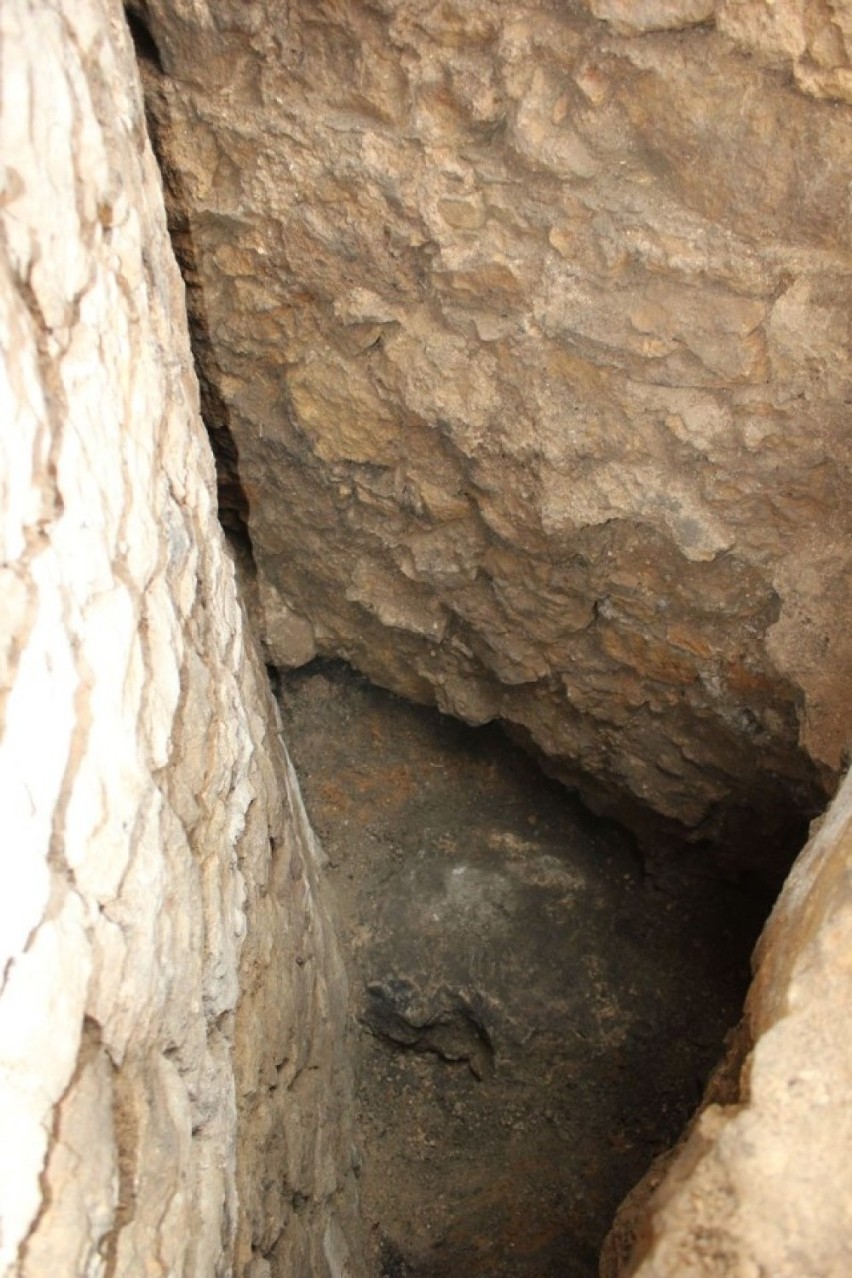 Rewelacyjne znalezisko archeologiczne na zamku w Będzinie [ZDJĘCIA]