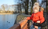 Rewitalizacja parku Belzackiego w Piotrkowie. Piotrkowianie podziwiają efekty i nie mogą doczekać się końca inwestycji ZDJĘCIA