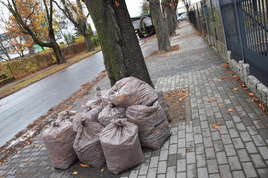 Podwyżka cen śmieci w Zduńskiej Woli nieunikniona? Radni zdecydują w poniedziałek