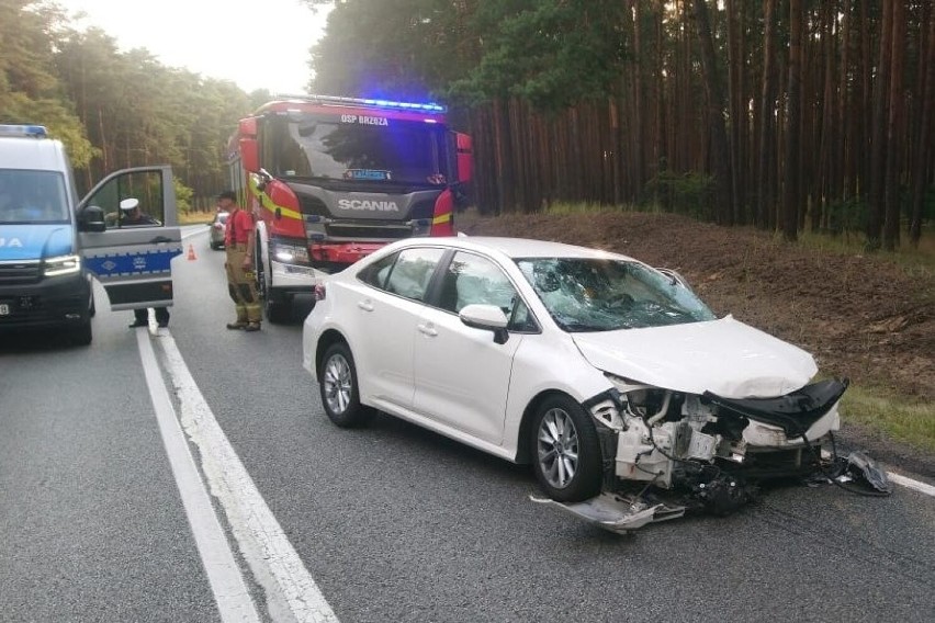 Tragiczny wypadek w Emilianowie pod Bydgoszczą. Na miejscu zginęły trzy osoby