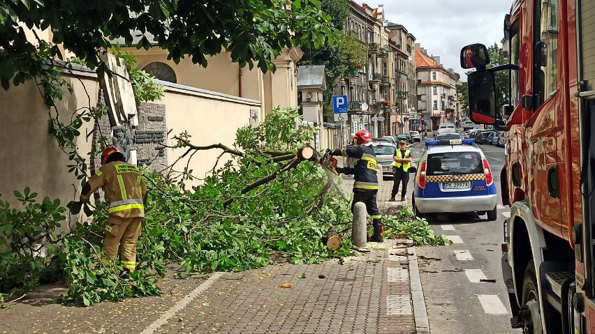 Kalisz: Duży konar drzewa runął na chodnik przy ulicy...