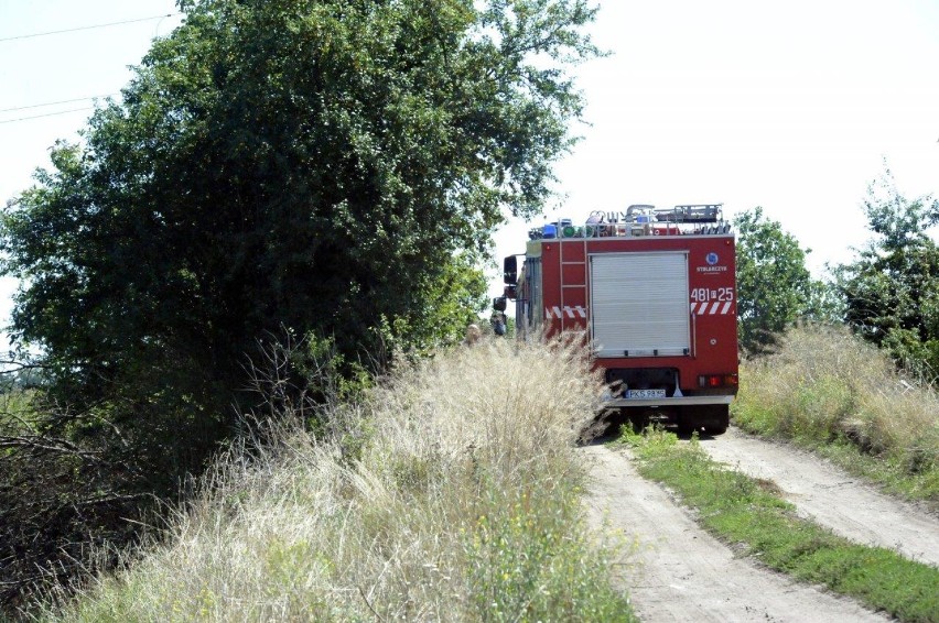 GMINA KOŚCIAN. Pożar traw w pobliżu Sierakowa. Nie wykluczone, że to podpalenie [ZDJĘCIA]