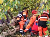 Wypadek w Lisowicach. Pień drzewa przygniótł mężczyznę