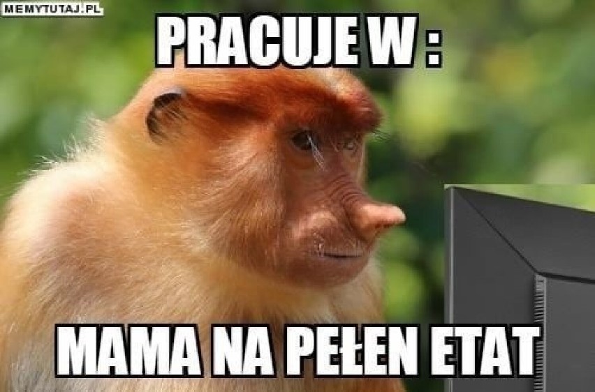 Dzień Matki 2023 MEMY. Obraz matki oczami internatów....