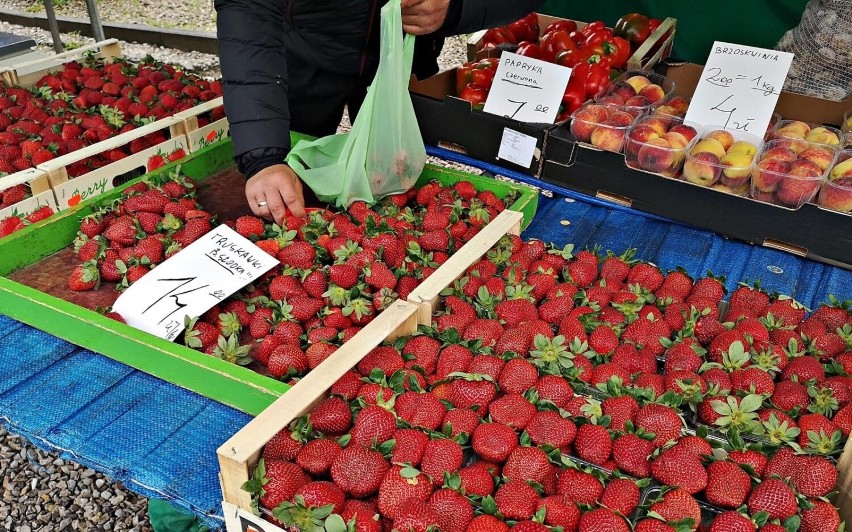 W Polsce najczęściej uprawianą odmianą truskawek są te o...
