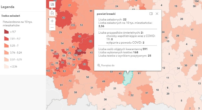 Więcej zakażeń koronawirusem i zgonów z powodu COVID-19. W Tarnowie i regionie blisko 200 nowych chorych [DANE, 21.04]