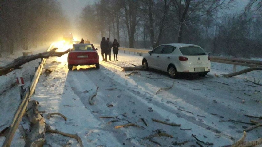 Drogi oblodzone na całej Opolszczyźnie. Synoptycy wydali ostrzeżenie