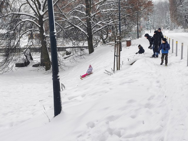 Park Śląski w Chorzowie również zimą jest bardzo atrakcyjnym miejscem do spędzenia wolnego czasu.