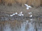 Żabie Doły kwiecień 2014 - pomysł na świąteczną wycieczkę