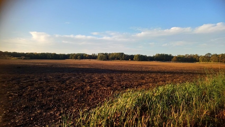 Jesień w Sycowie. Mieszkańcy pochwalili się zdjęciami!