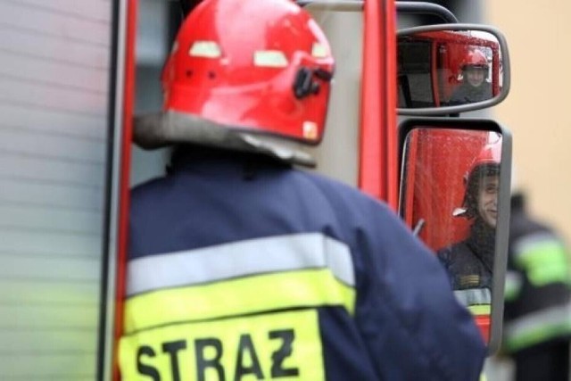 Z pożarem BMW walczyło w sumie sześciu strażaków jastrzębskiej PSP.