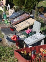 Czy w Opolu będzie cmentarz dla zwierząt? Urzędnicy szukali miejsca, ale na razie go nie znaleźli