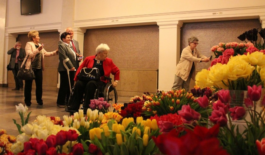 Wystawa i chrzest tulipana "Hipolit Cegielski"