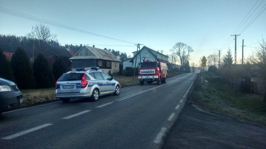 Zderzenie samochodów w Lasie [ZDJĘCIA]