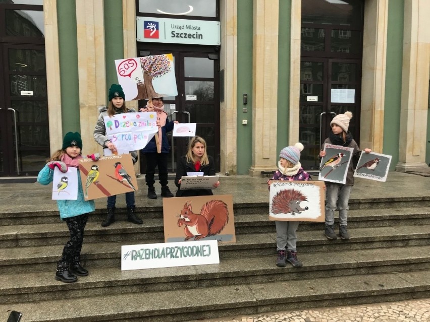 Protest w sprawie wycinki drzew na ul. Przygodnej w Szczecinie. Apelowały... dzieci!  [ZDJĘCIA]