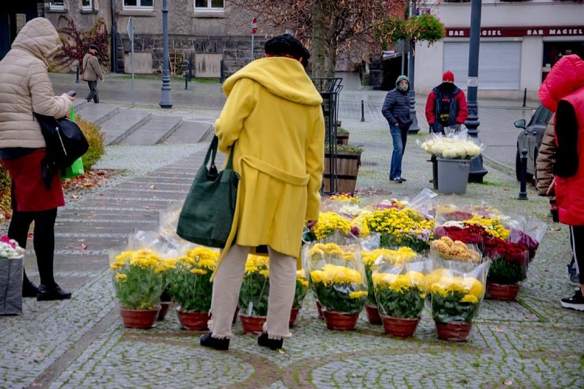 Wałbrzych: Mieszkańcy miasta wspierają producentów chryzantem 