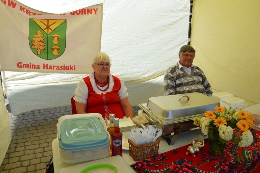 Festiwal Pierogów i Rzemiosła w Stalowej Woli z pysznym jedzeniem i kapuścianym konkursem na „Złotą misę”