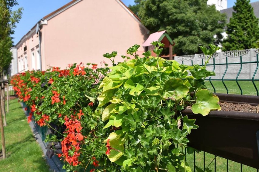 Zapraszamy Was na wirtualny spacer po najpiękniejszych zakątkach Grodziska