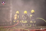 Pożar gospodarstwa w Koźlątkowie. W akcji brało udział aż 65 strażaków ZDJĘCIA