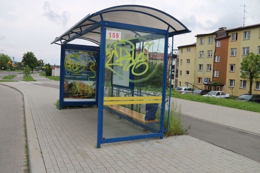 Wandale niszczą Starachowice. Ostre słowa prezydenta Marka Materka (ZDJĘCIA)