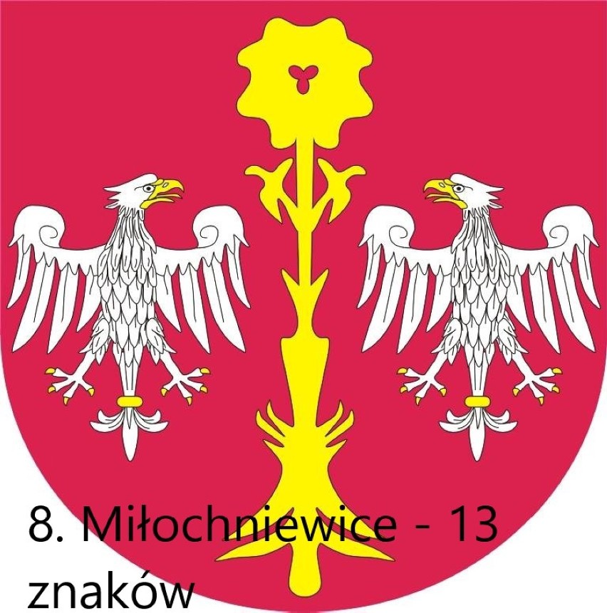 Najdłuższe nazwy miejscowości w powiecie skierniewickim. Niektóre są bardzo długie!