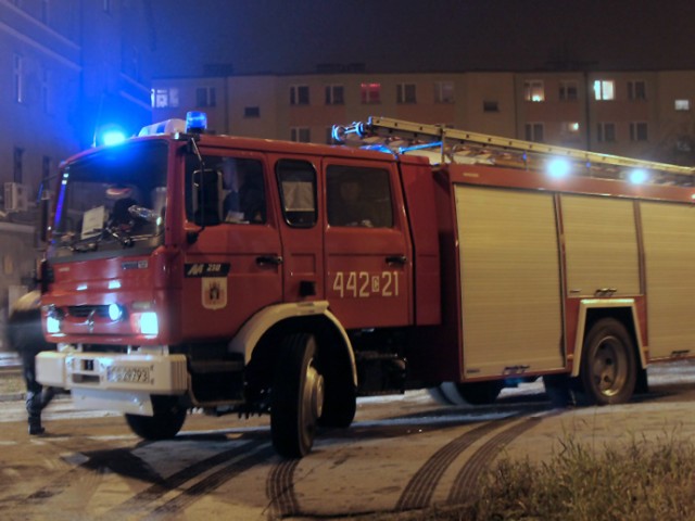 Akcja strażaków trwała godzinę