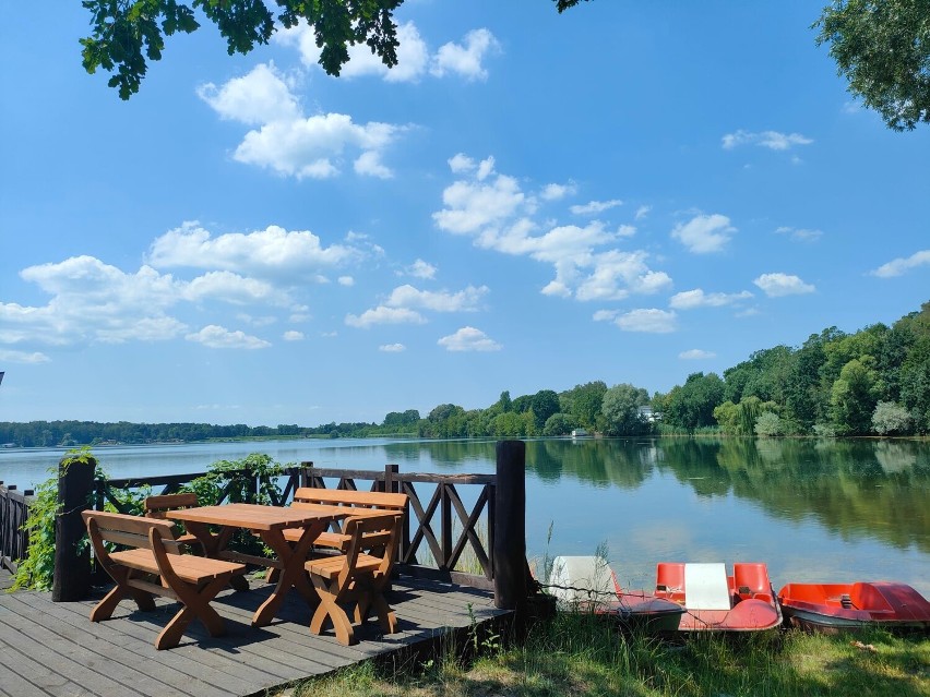 Bajeczna plaża pod Gliwicami! Wyrusz w podróż do głębi lasu i odkryj to magiczne miejsce, które niemalże świeci pustkami. Zobacz zdjęcia 