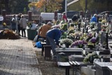 Cmentarz tyniecki. Kaliszanie sprzątają groby swoich bliskich. ZDJĘCIA