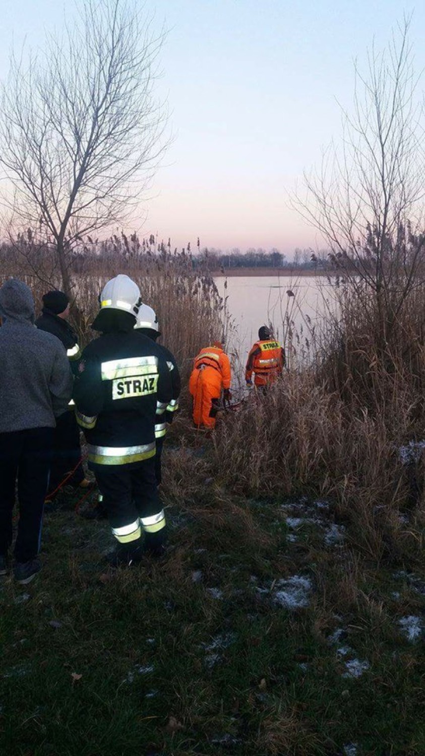Jezioro Brdowskie: Strażacy ratowali uwięzioną sarnę