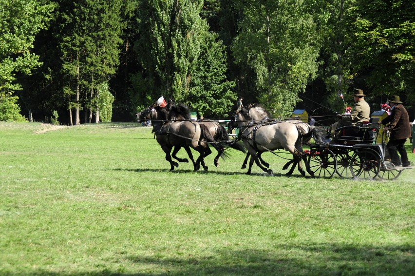 Sieraków - Tarpaniada 2013