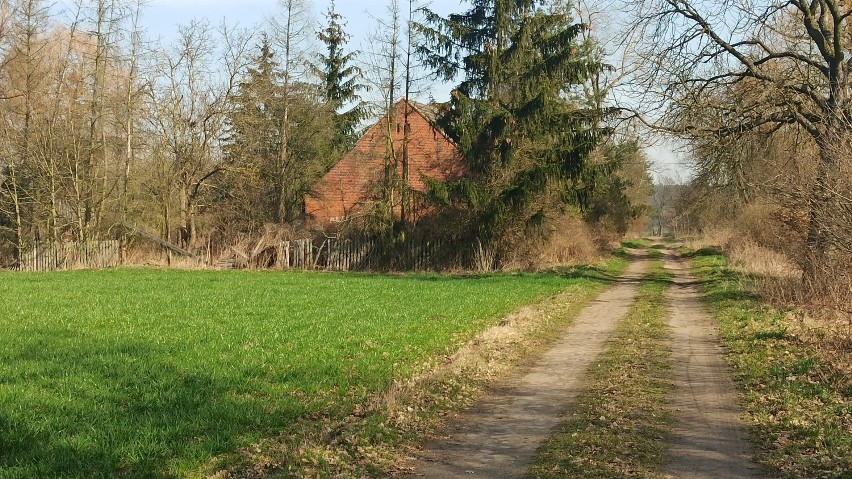 Raduchów. Urokliwa wieś z opuszczonymi domami, którą ma...