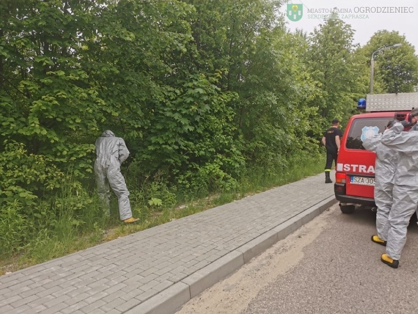 Strażacy z OSP Gulzów, ubrani w skafandry ochronne likwidują...