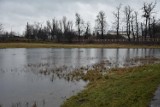 Lokalne tereny zalewowe, czyli Księży Kacerek i okolice skrzyżowania rzek, znów zalane. Woda objęła bardzo duży obszar!
