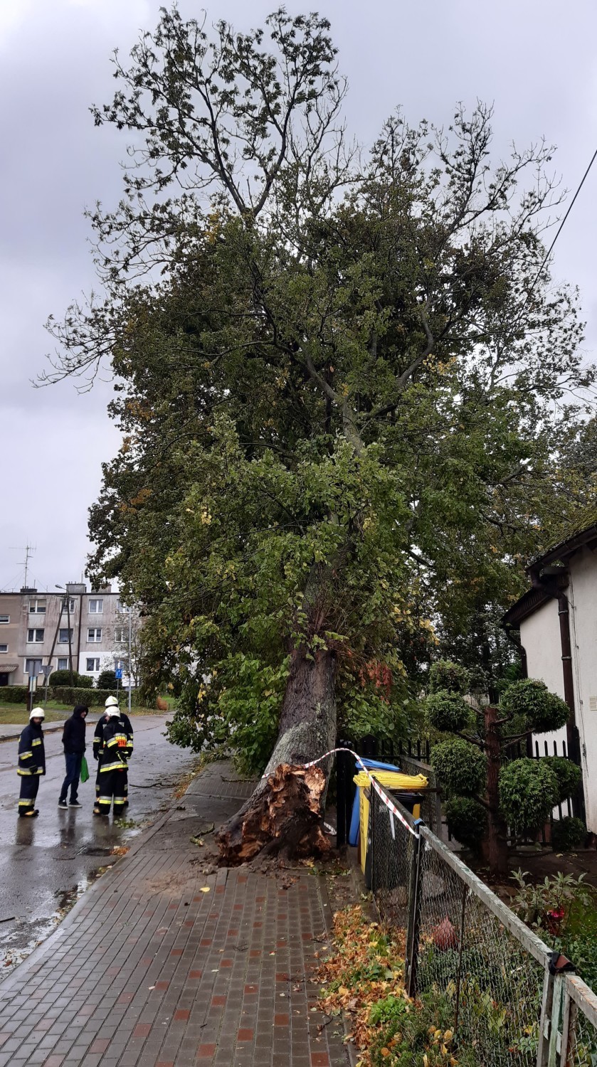 Drzewa padały na parkujące i jadące samochody. W Kołobrzegu strażacy wyjeżdżali ponad 90 razy