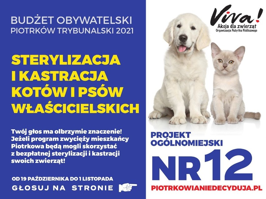 Nr 1: Nowe książki dla piotrkowian - zakup książek...