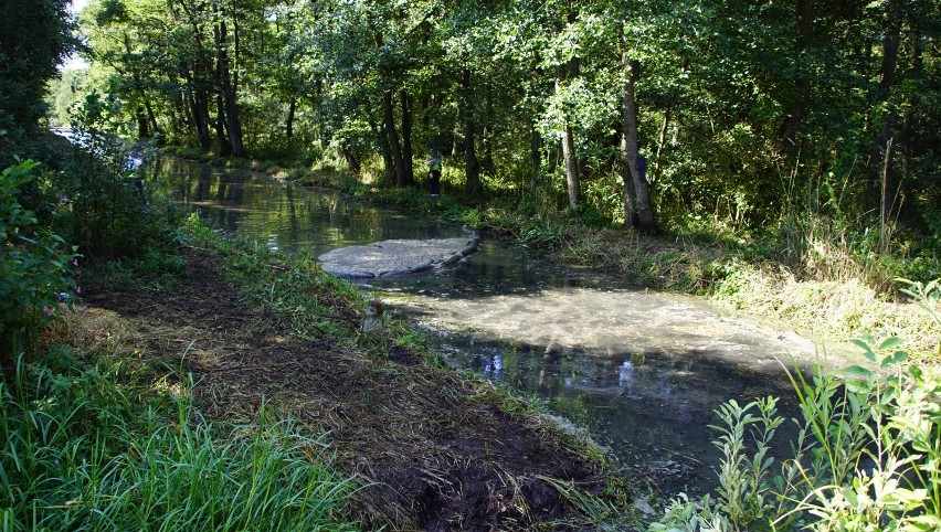Dziwna piana na kanale w okolicy Jarosławca. Mieszkańcy zaniepokojeni [ZDJĘCIA]