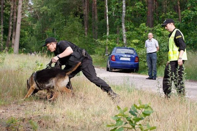 Akcja policji w Chojnicach: Zatrzymali sprawców uprowadzenia [ĆWICZENIA]